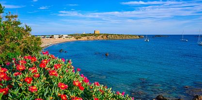 Los mejores consejos para visitar la isla de Tabarca