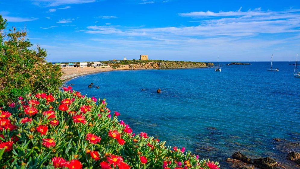 The 5 tips to go to the island of TABARCA ☀️ 2026