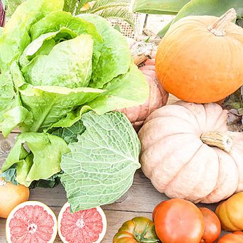 The best selection of fruit and vegetables at the farm Finca El Clot