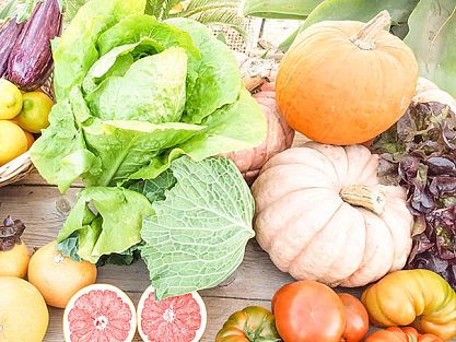 The best selection of fruit and vegetables at the farm Finca El Clot