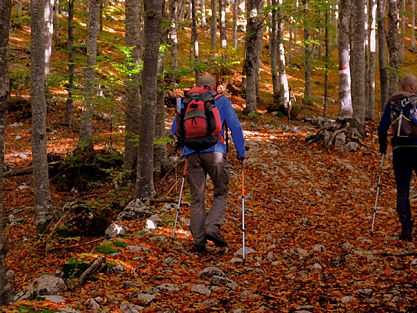 Nordic Walking in the mountain