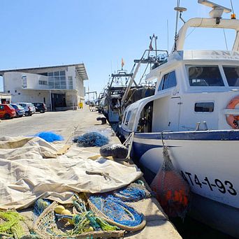 Conoce la lonja de pescado y marisco de Villajoyosa