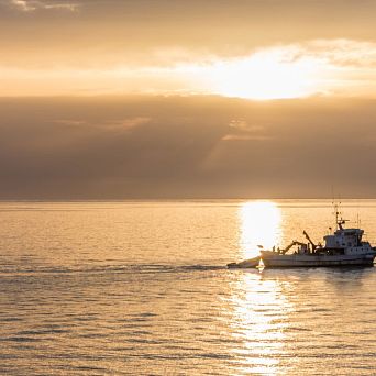 Sunset and a fishing boat
