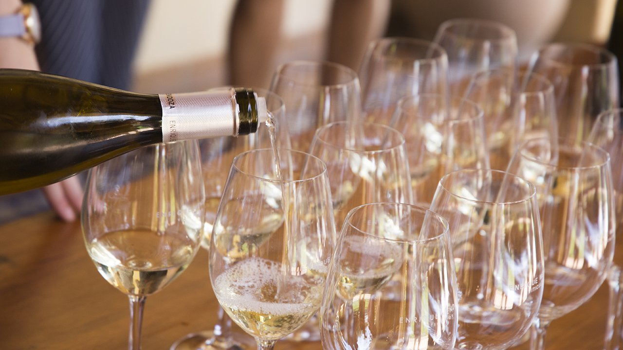 Cata de vinos Enrique Mendoza 