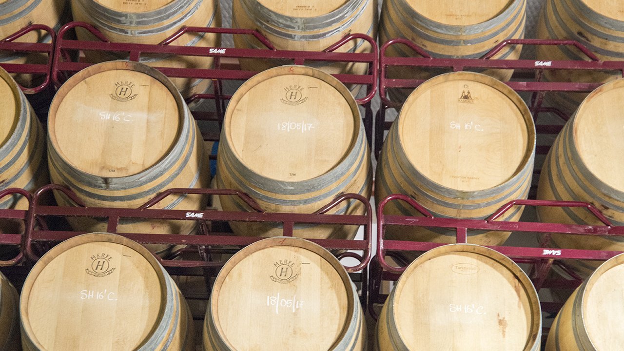 Planes románticos cata de vinos