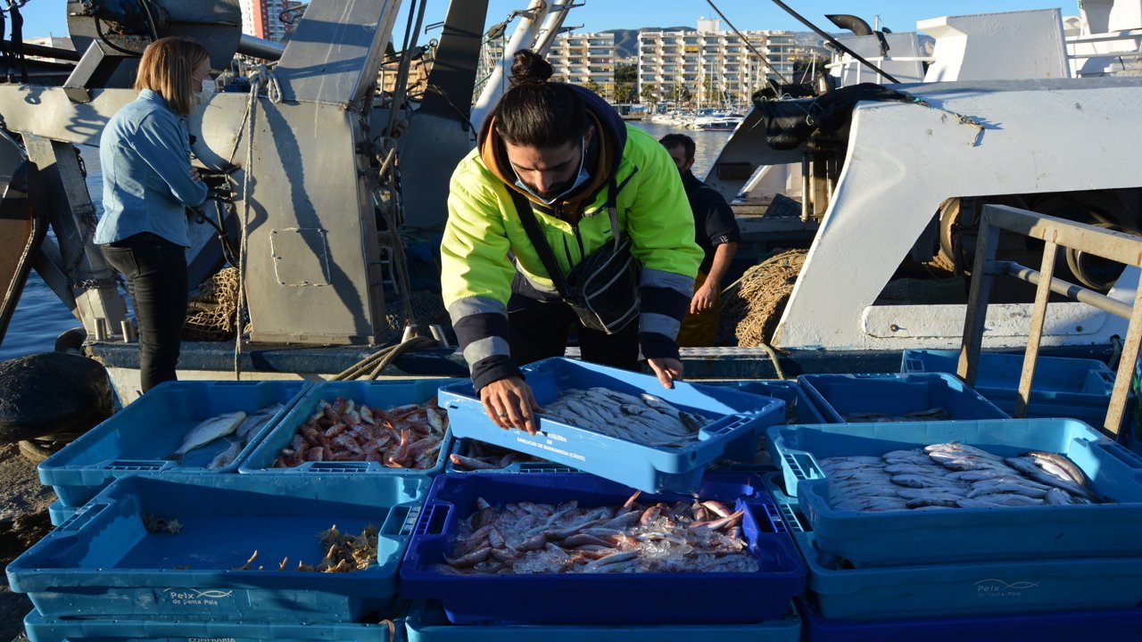 Landing of the fish in Villajoyosa