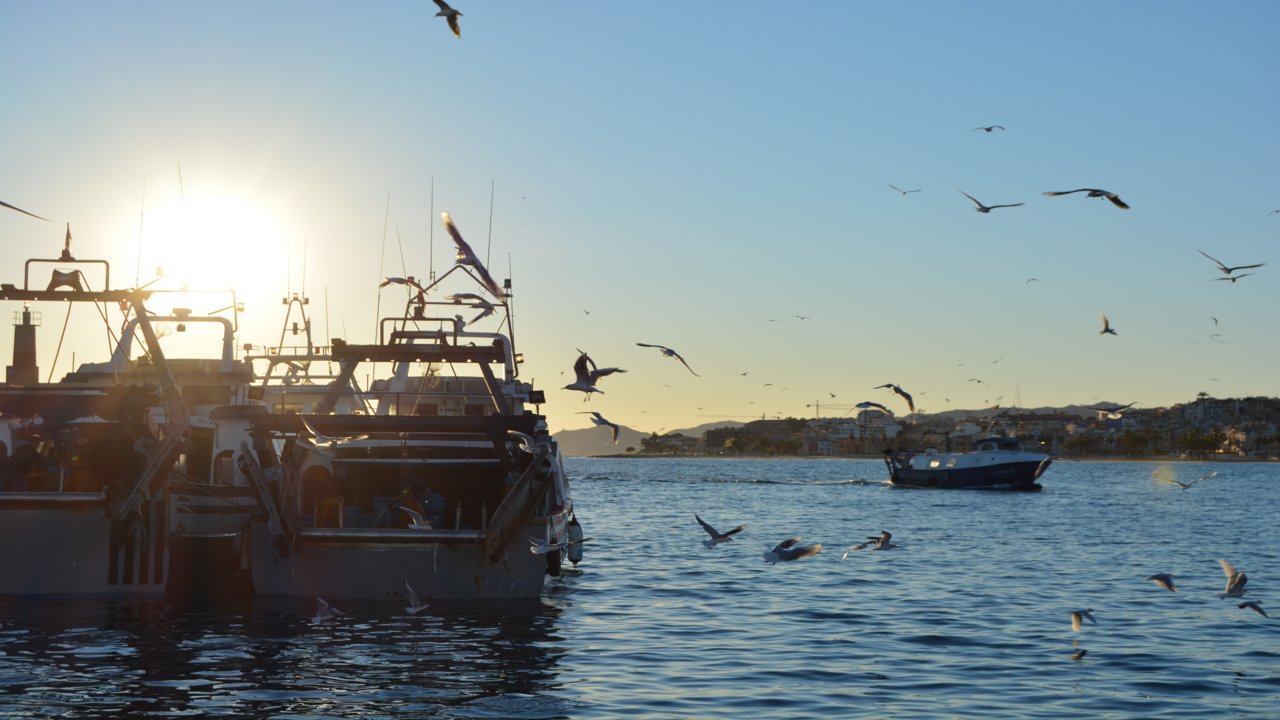 Villajoyosa fishing boats